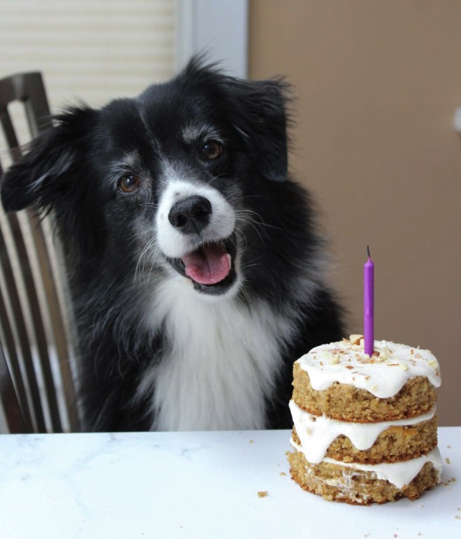 LRM_EXPORT_101127828120767_20181006_123448732